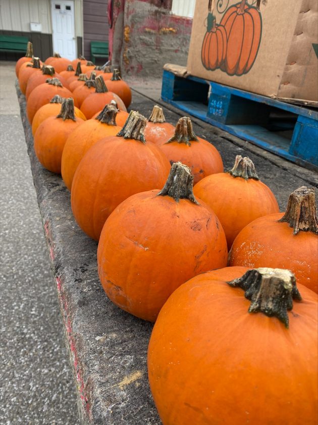 Moundsville Events Drawing People to City News, Sports, Jobs The